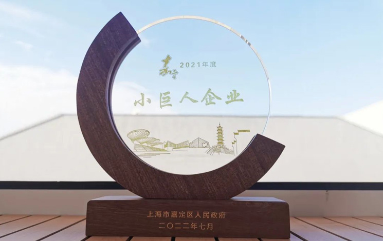 喜報(bào)|汩鴻環(huán)保獲評(píng)嘉定區(qū)“小巨人企業(yè)”